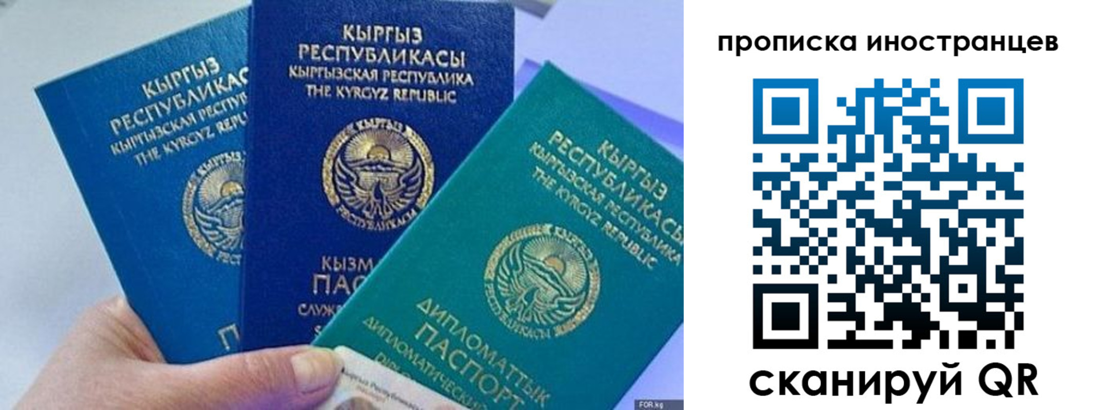 прописка для кредита в Фрязино